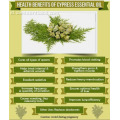 100% minyak Cypress Organik alami murni
